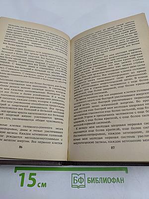 Животворящая сила. Помоги себе сам