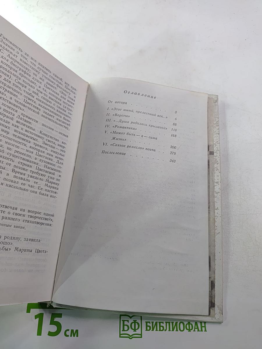 Марина Цветаева. Страницы жизни и творчества (1910-1922)