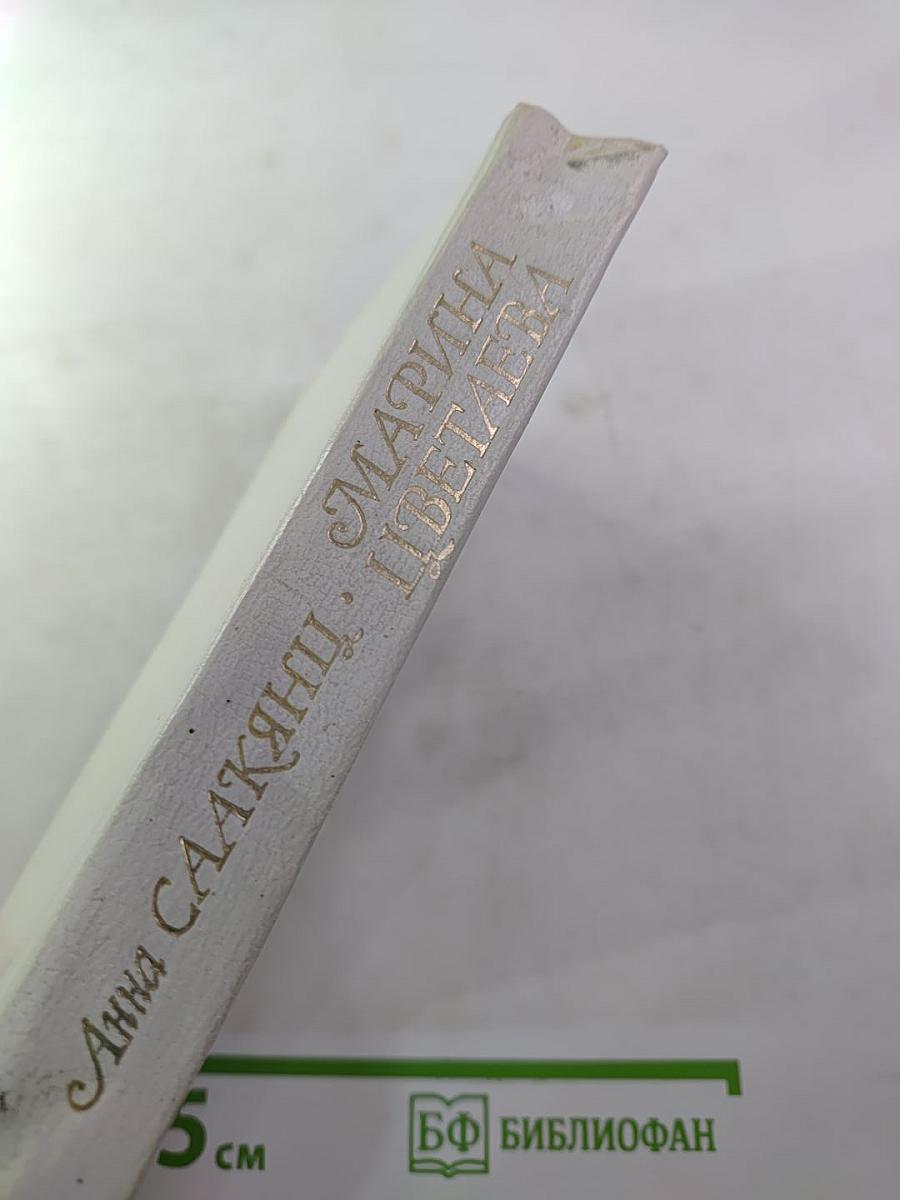 Марина Цветаева. Страницы жизни и творчества (1910-1922)