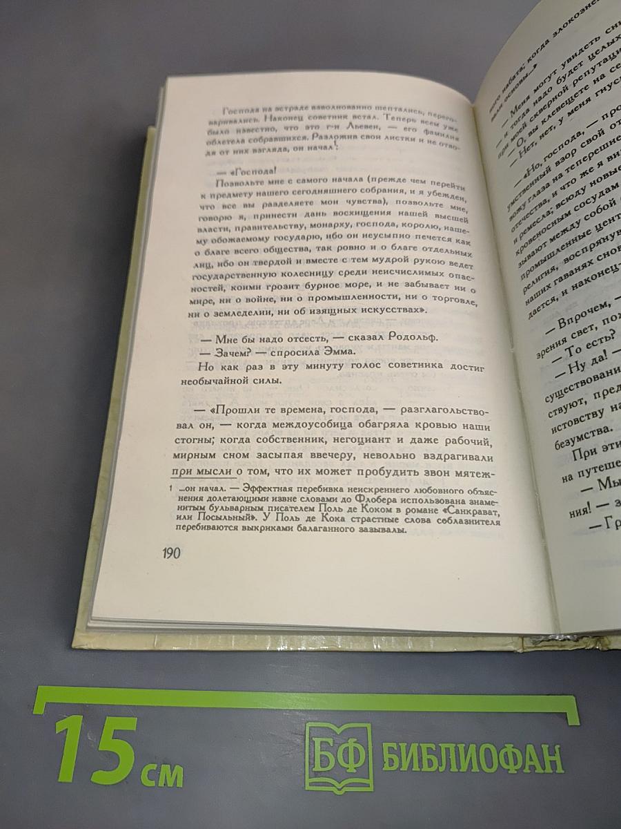 Мадам Бовари