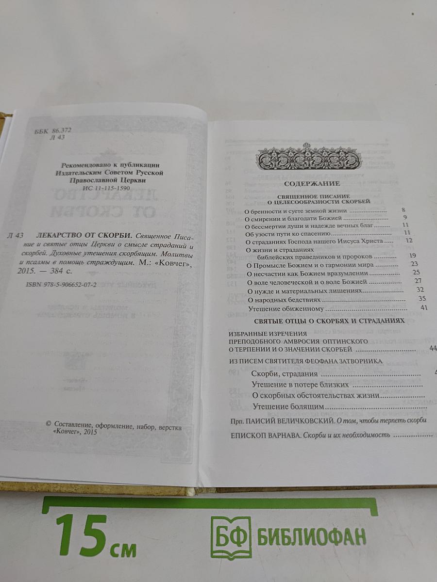 Лекарство от скорби. Священное писание и святых отцов наставления о смысле страданий и скорбей