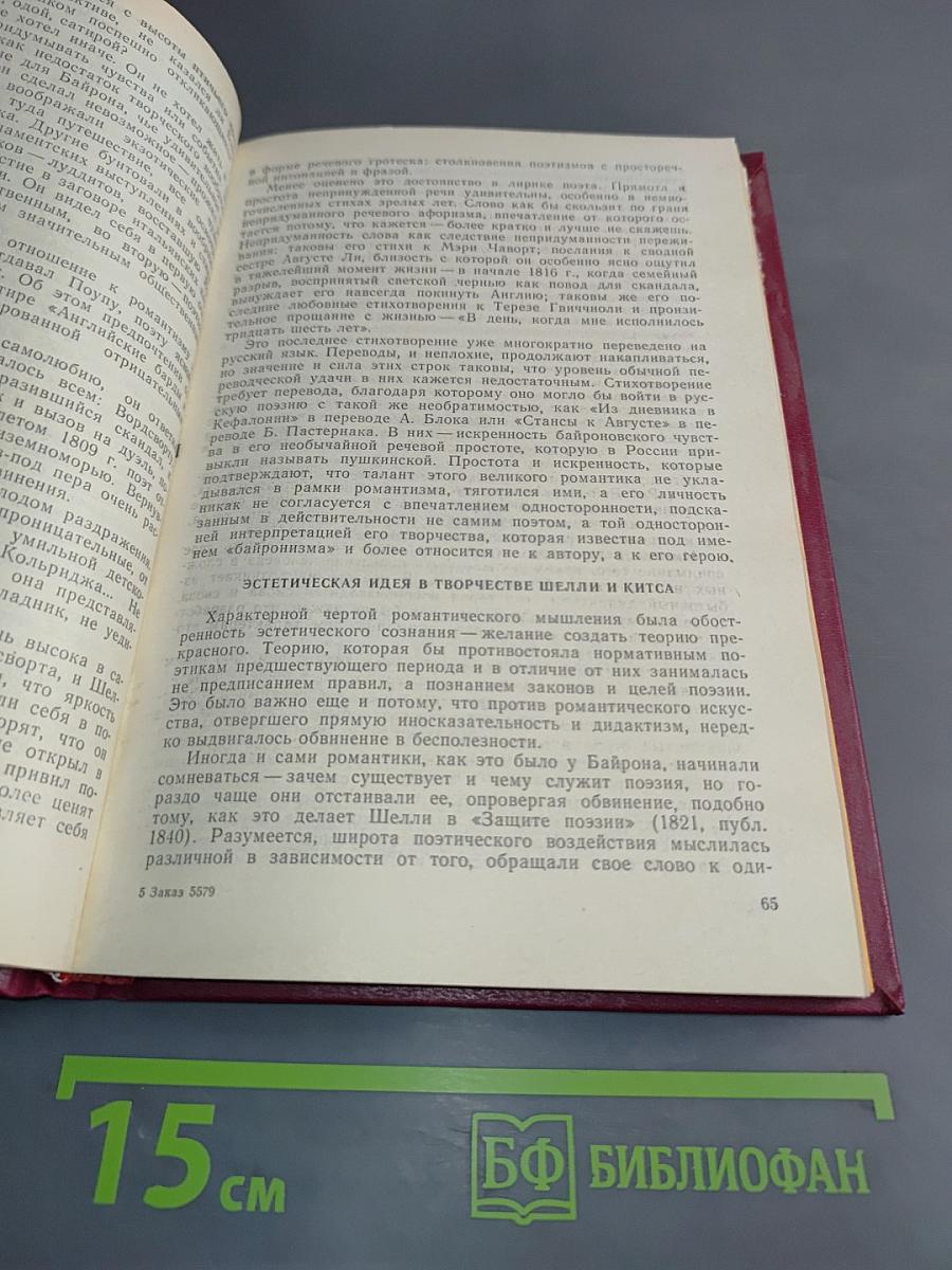 История зарубежной литературы XIX века. Часть 1