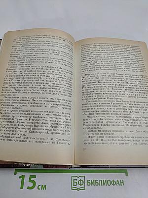 Огни в тумане. Реррих – художник-мыслитель