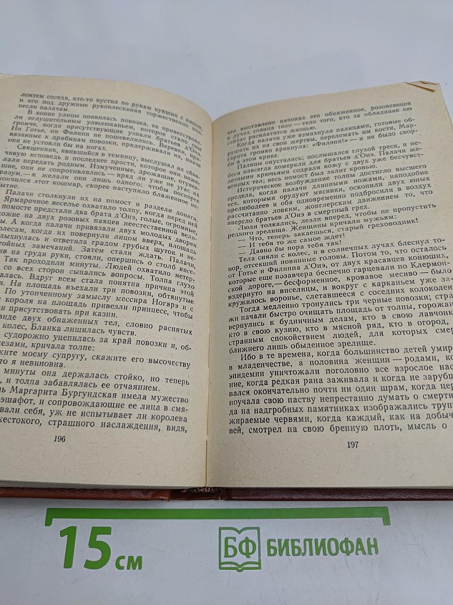Железный король. Узница Шато-Гайара
