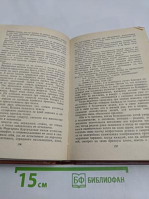 Железный король. Узница Шато-Гайара