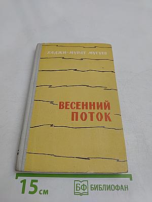 Весенний поток