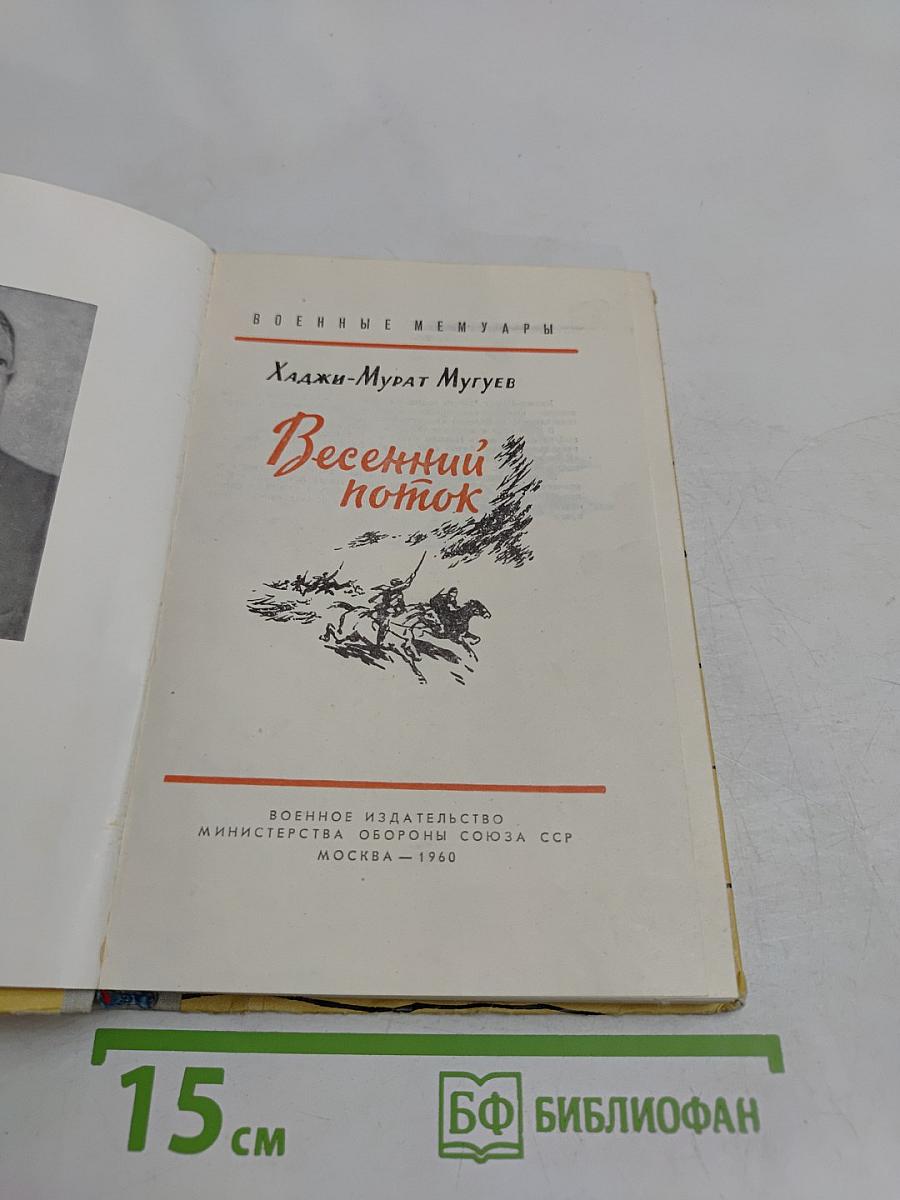 Весенний поток