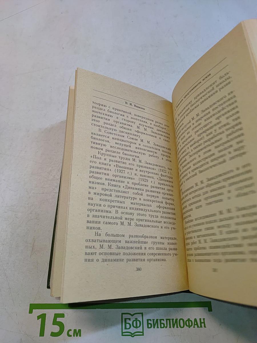 Жизнь коротка, надо спешить