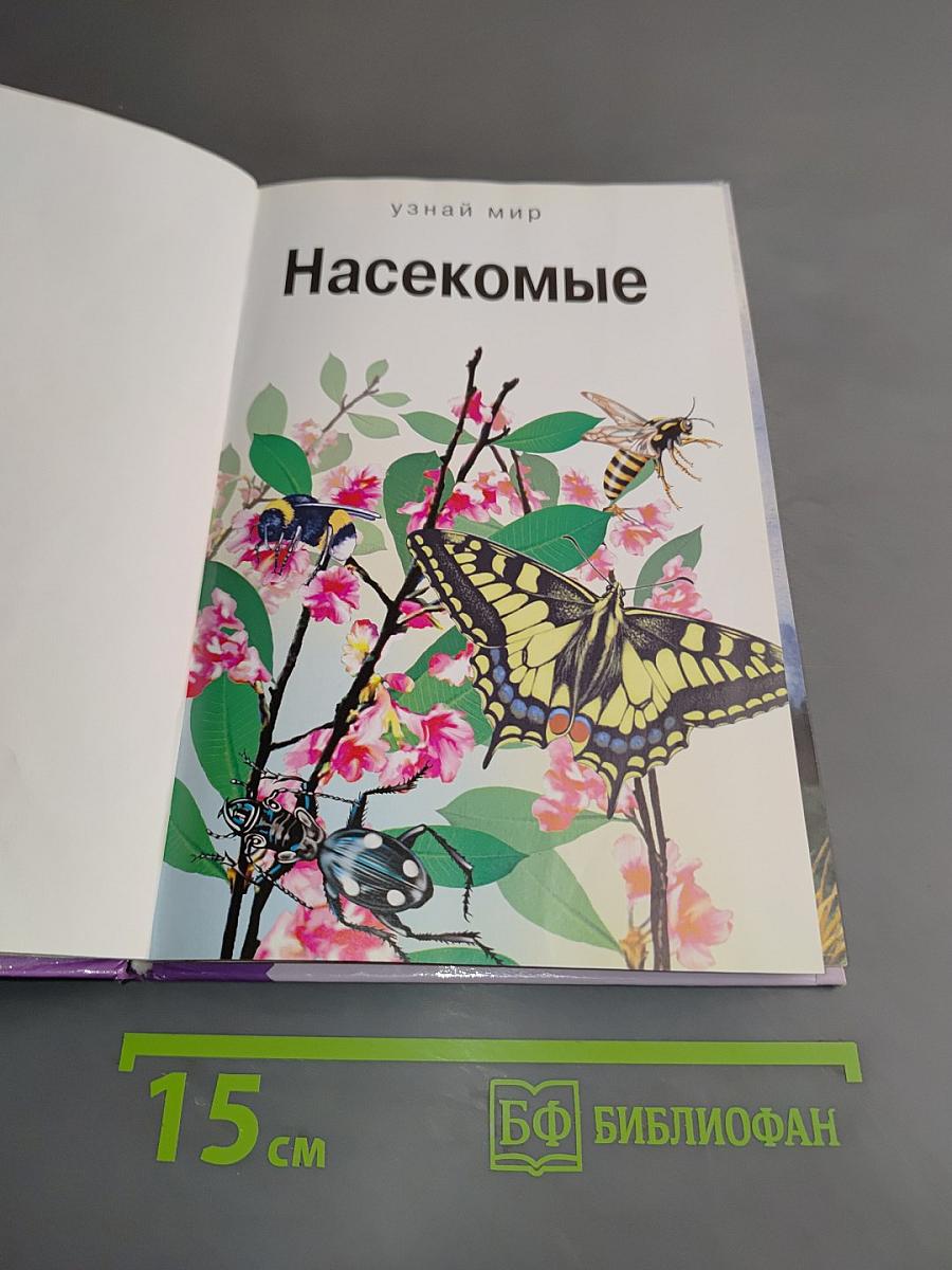 Насекомые. Школьный путеводитель
