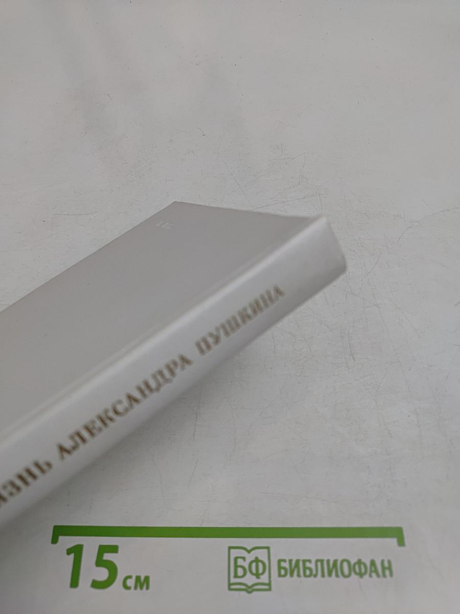 Жизнь Александра Пушкина