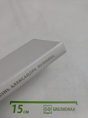 Жизнь Александра Пушкина
