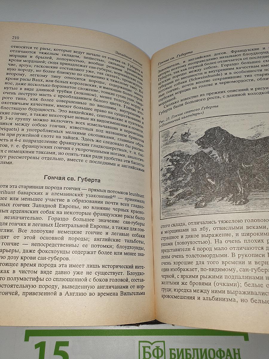Собаки Охотничьи... Борзые и гончие