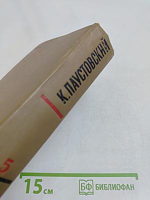 Собрание сочинений. Том пятый. Рассказы, сказки, литературные портреты, заметки