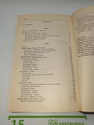 Собаки Охотничьи... Борзые и гончие
