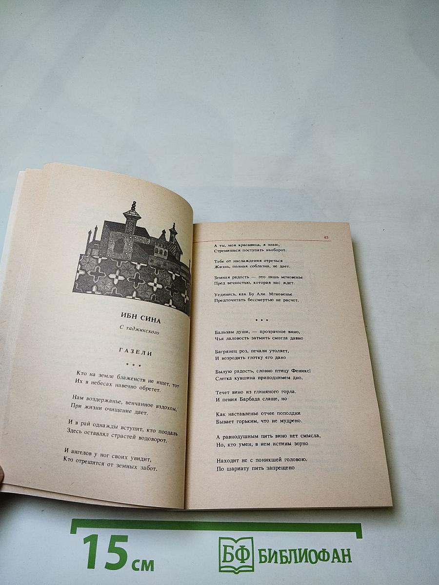 Лирика. Из персидско-таджикской поэзии