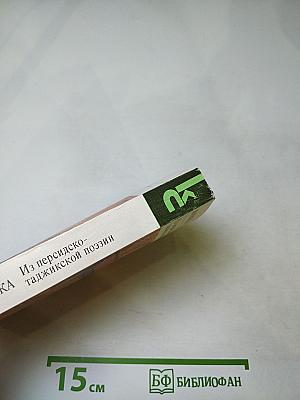 Лирика. Из персидско-таджикской поэзии