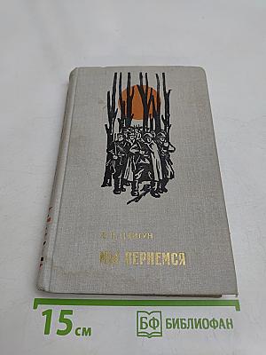 Мы вернемся