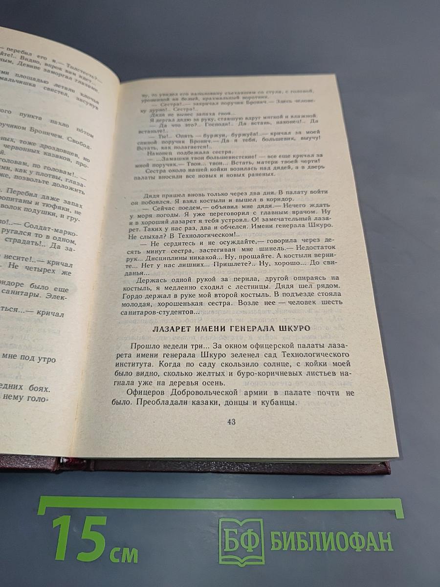 Зяблики в латах