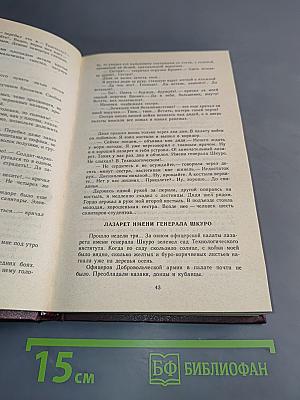 Зяблики в латах