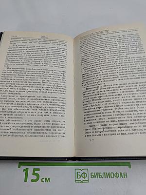 На заре человеческой истории