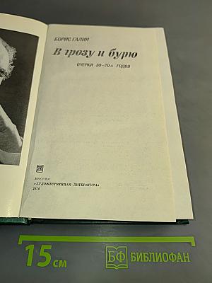 В грозу и бурю
