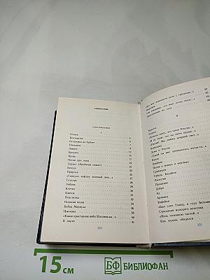 Чистый пламень. Книга стихов