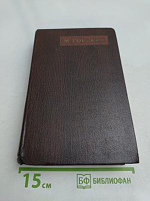 Собрание сочинений. Том десятый. Городок Окуров. Жизнь Матвея Кожемякина. Наброски