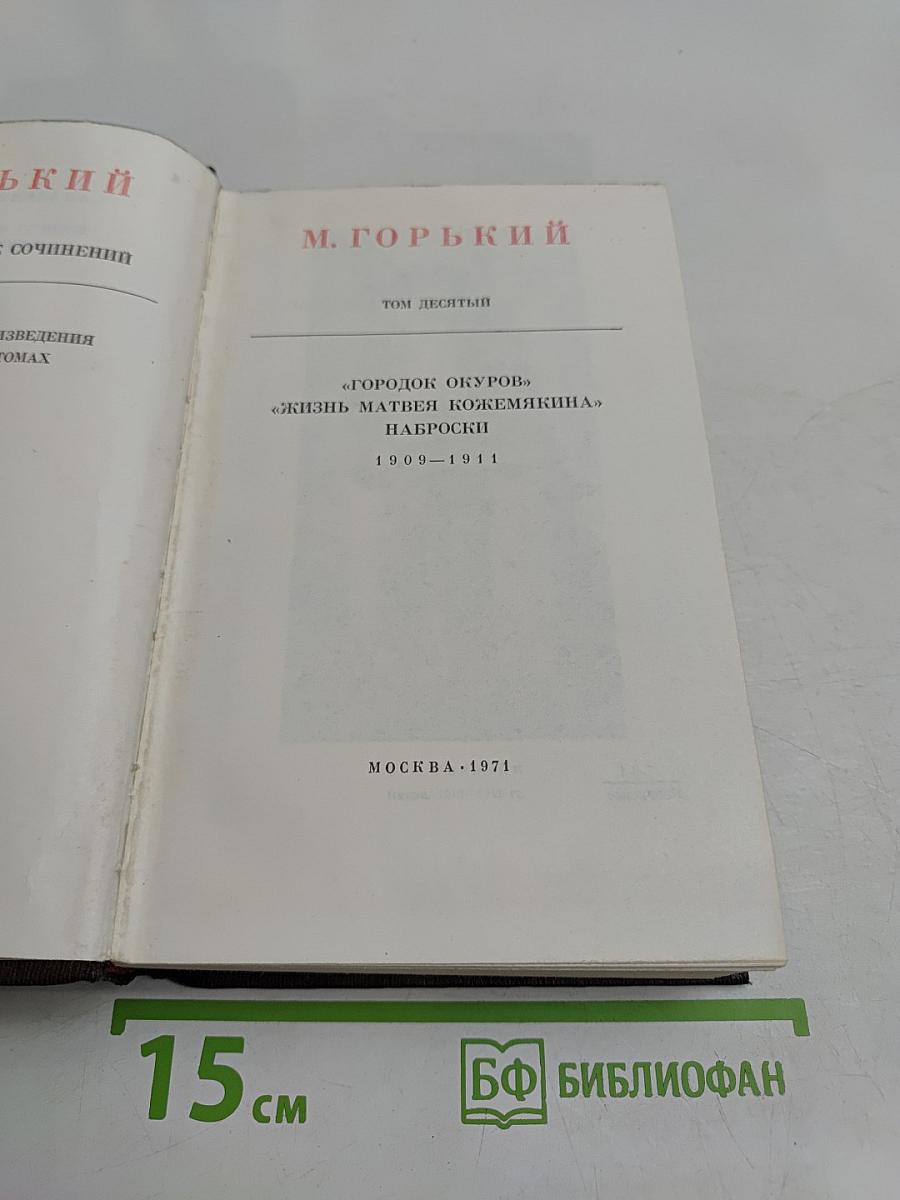 Собрание сочинений. Том десятый. Городок Окуров. Жизнь Матвея Кожемякина. Наброски