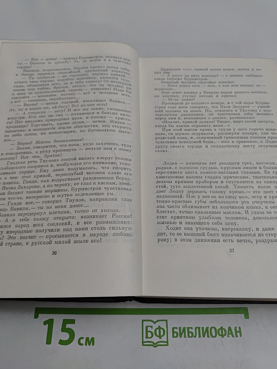 Собрание сочинений. Том десятый. Городок Окуров. Жизнь Матвея Кожемякина. Наброски