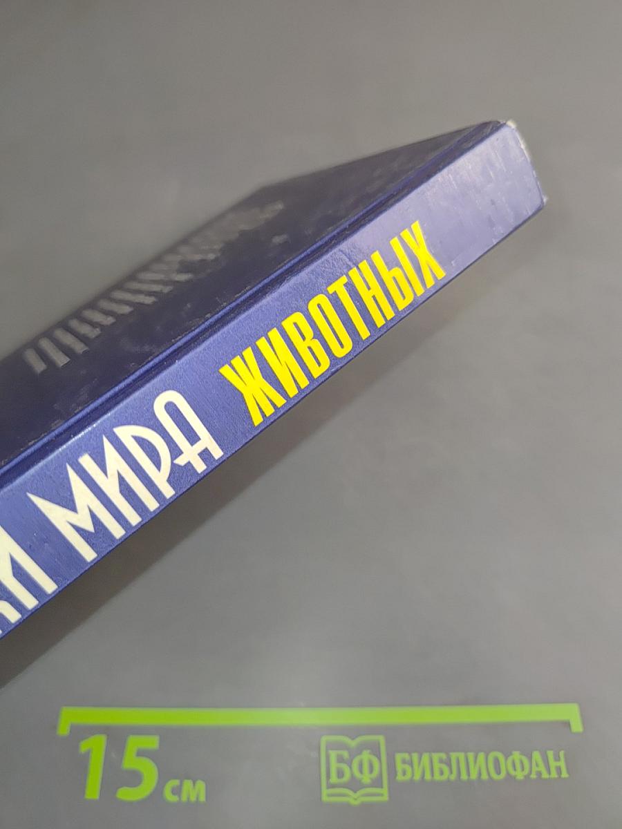 Загадки мира животных