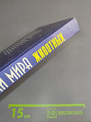 Загадки мира животных