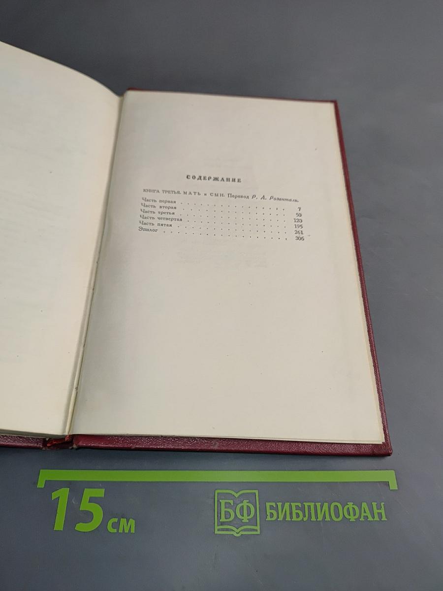 Собрание сочинений. Том девятый. Очарованная душа. Книга третья