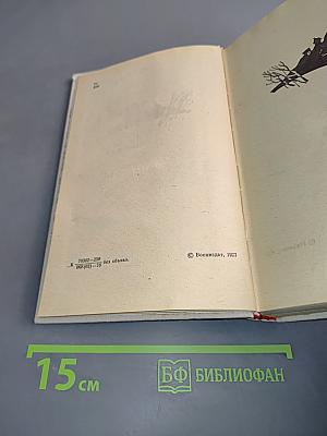 Лихолетье