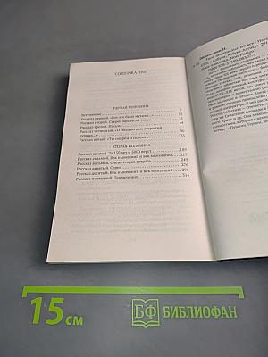 Твой девятнадцатый век