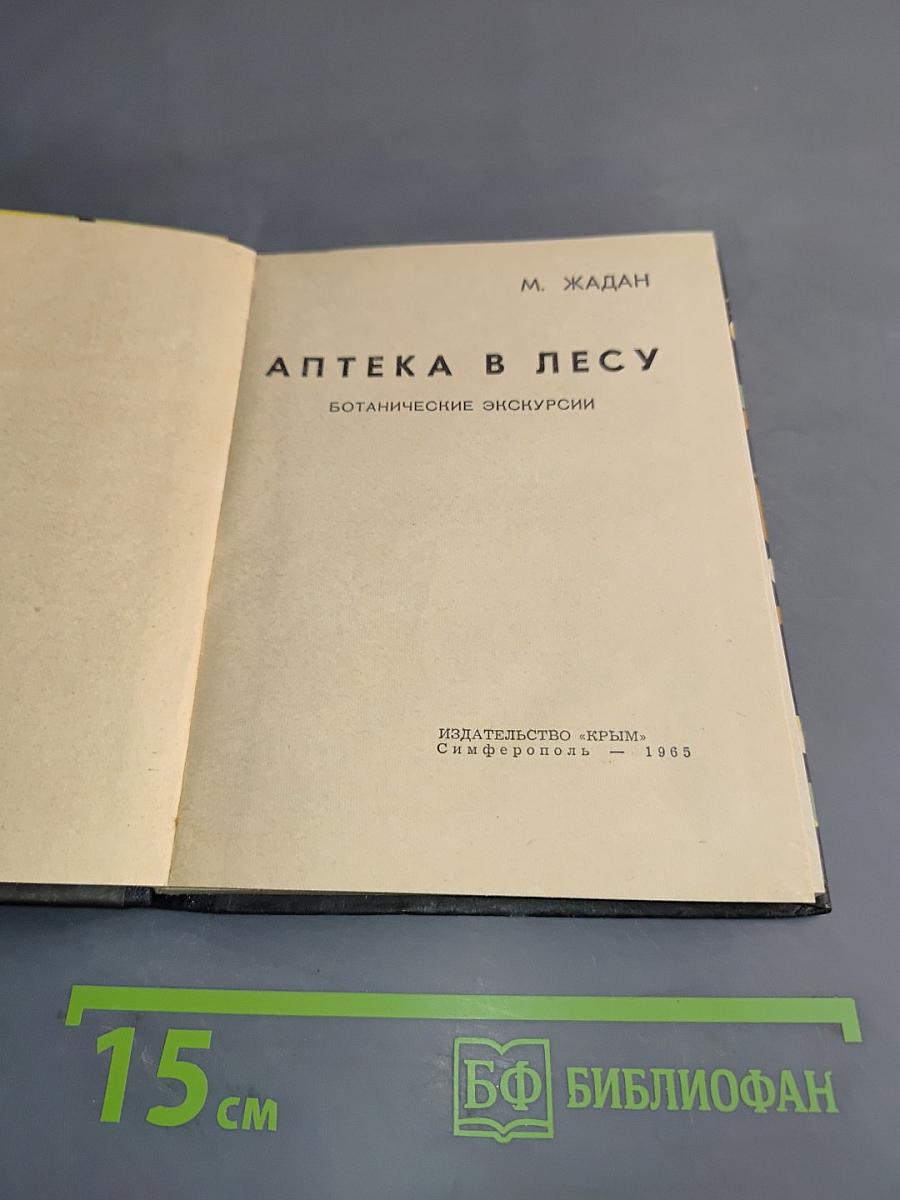 Аптека в лесу. Ботанические экскурсии