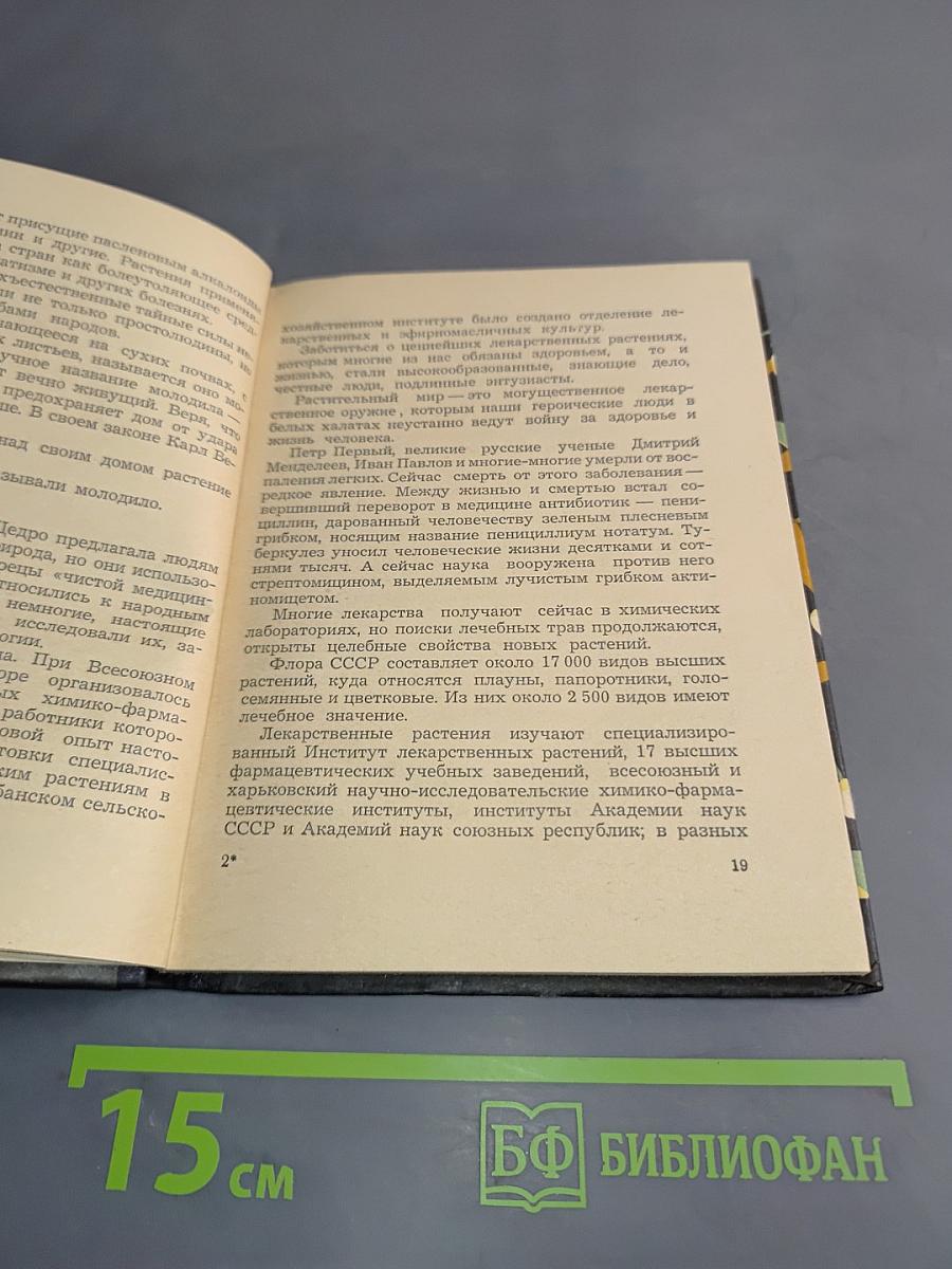 Аптека в лесу. Ботанические экскурсии