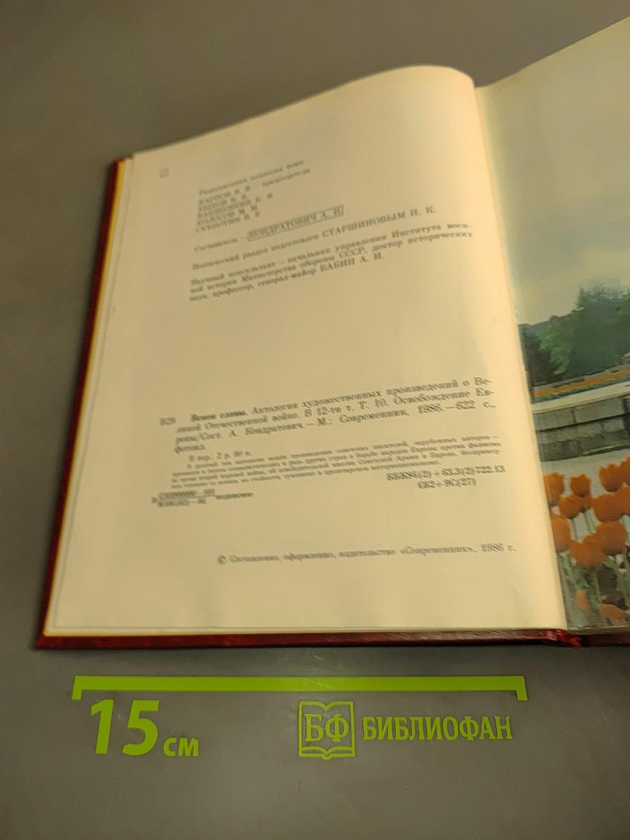 Освобождение Европы. Том 10