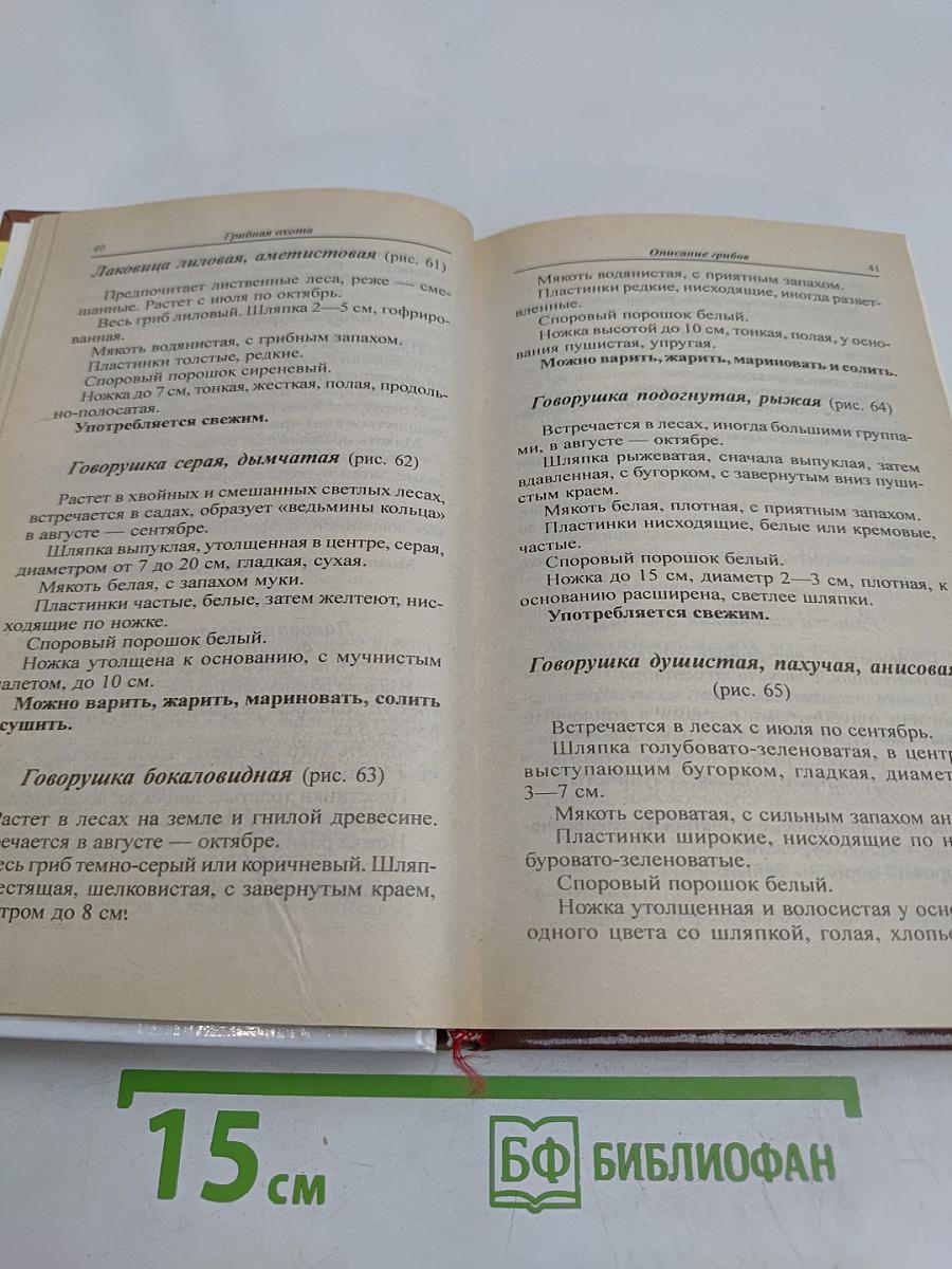 Грибная охота