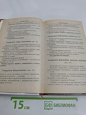 Грибная охота