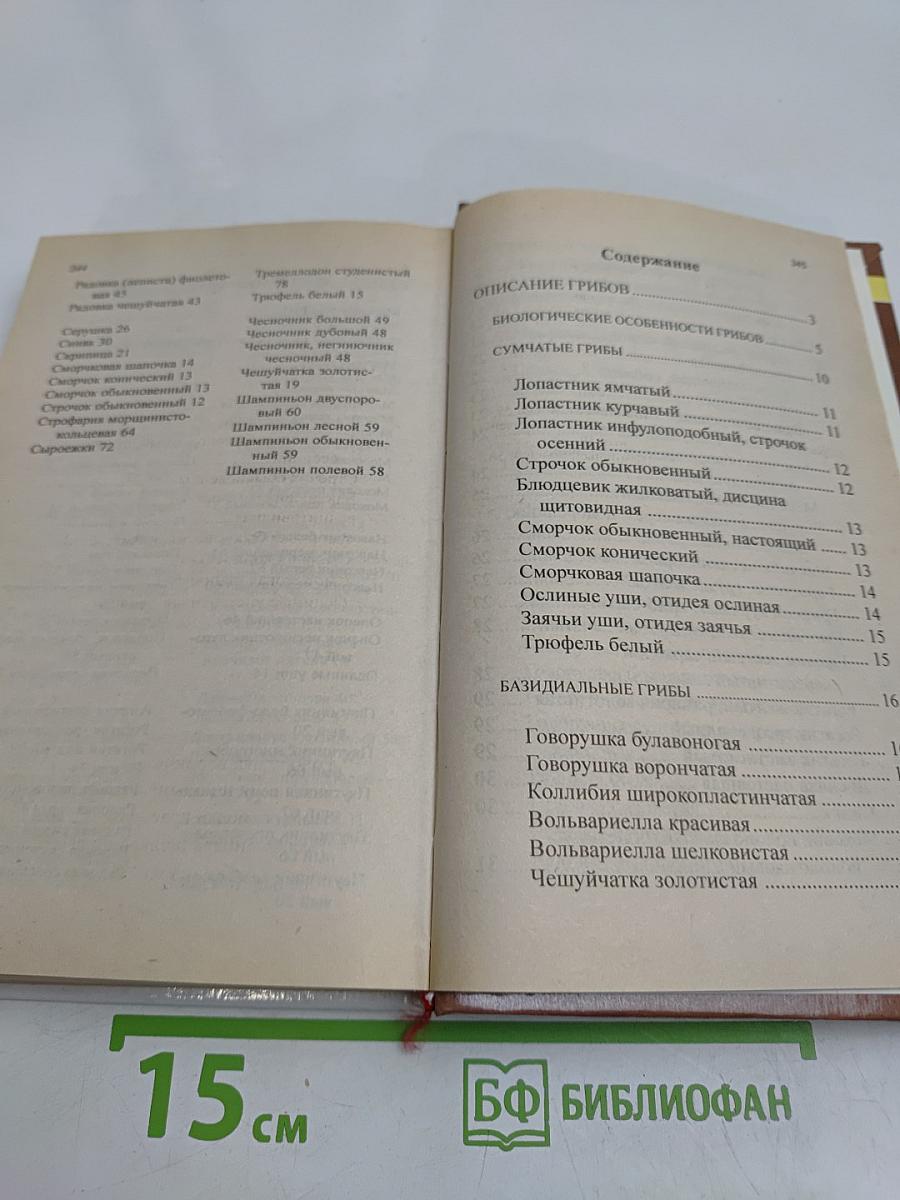 Грибная охота