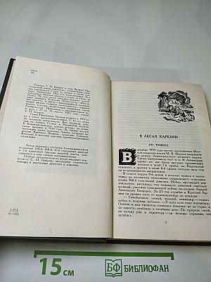 От Невы до Эльбы