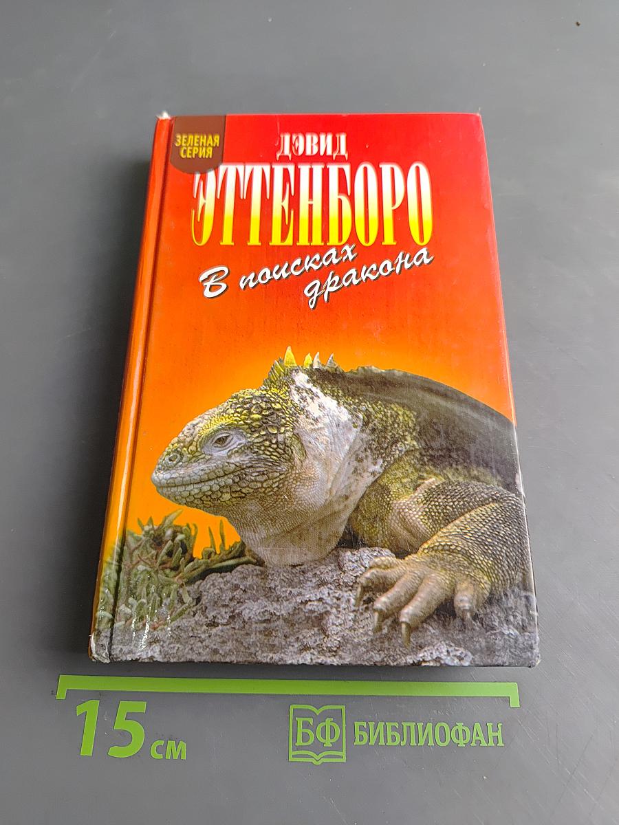 В поисках дракона
