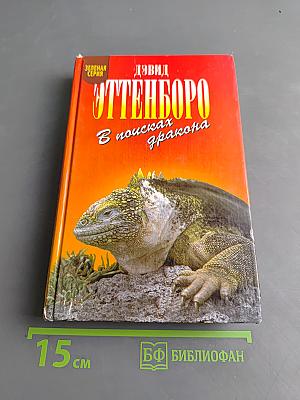 В поисках дракона