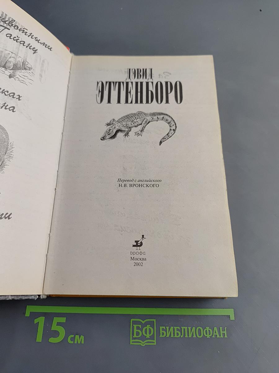 В поисках дракона
