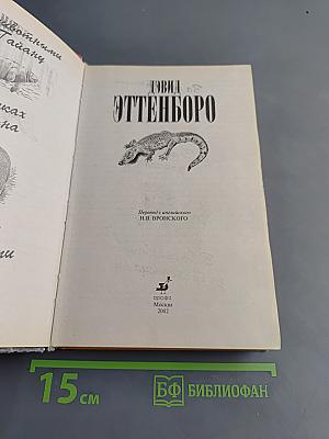 В поисках дракона
