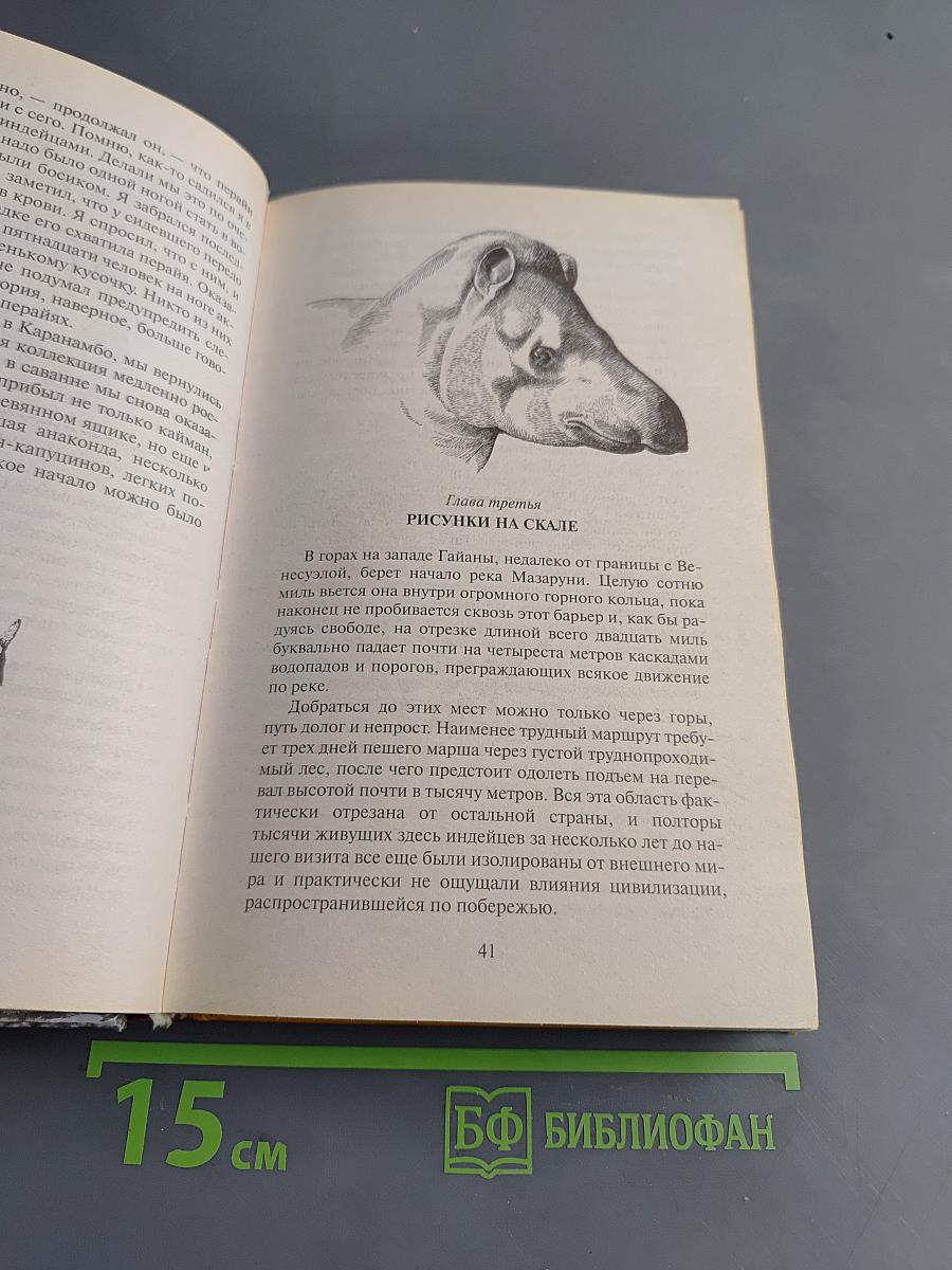 В поисках дракона