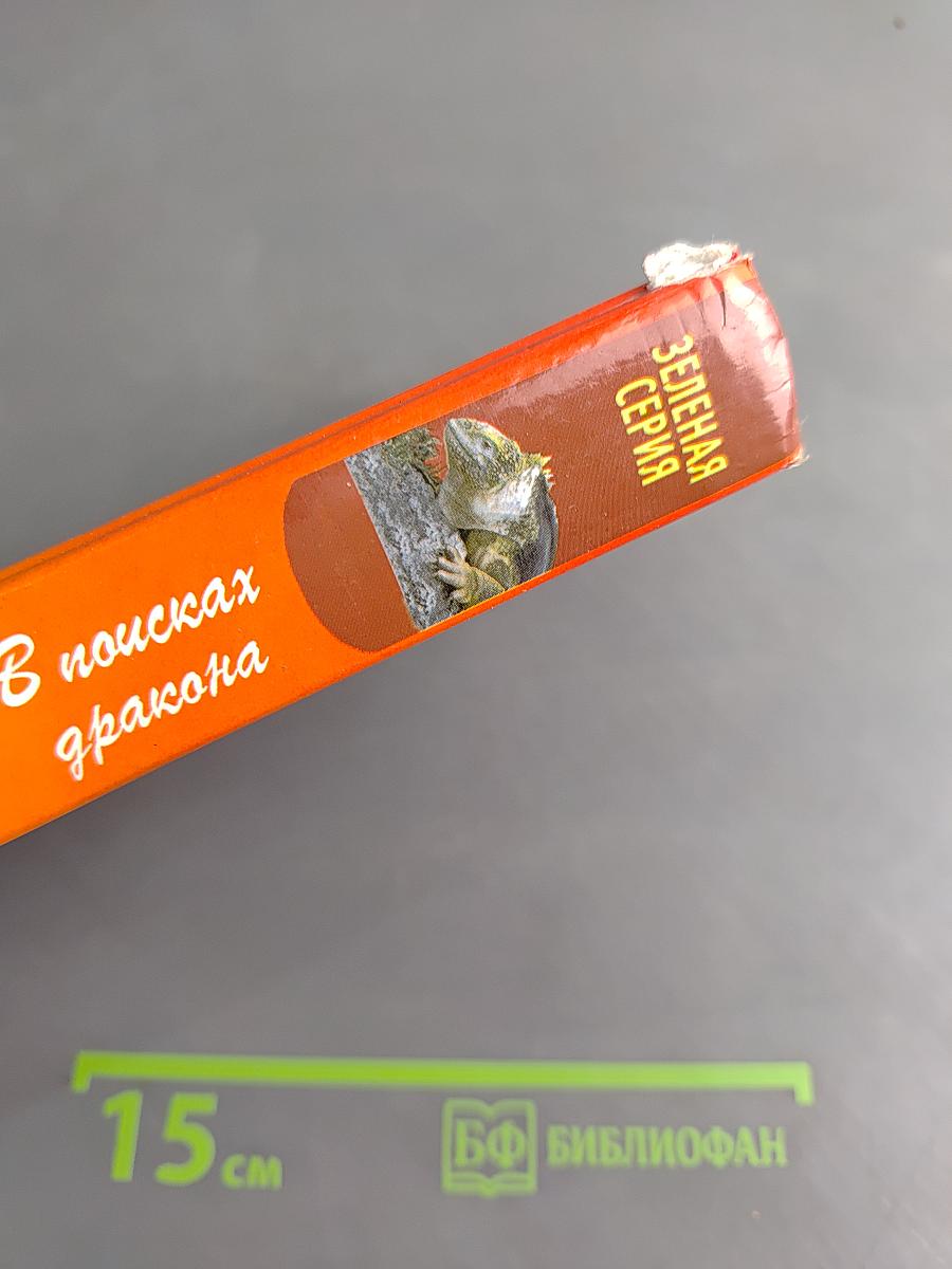 В поисках дракона