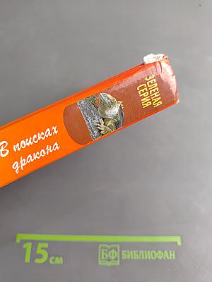 В поисках дракона