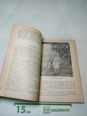 Цвети, наш край!