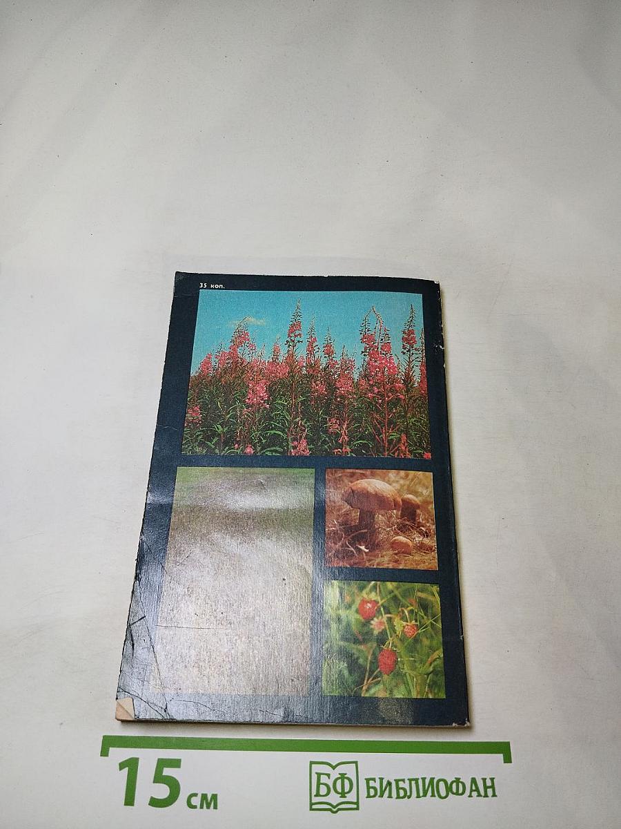 Цвети, наш край!